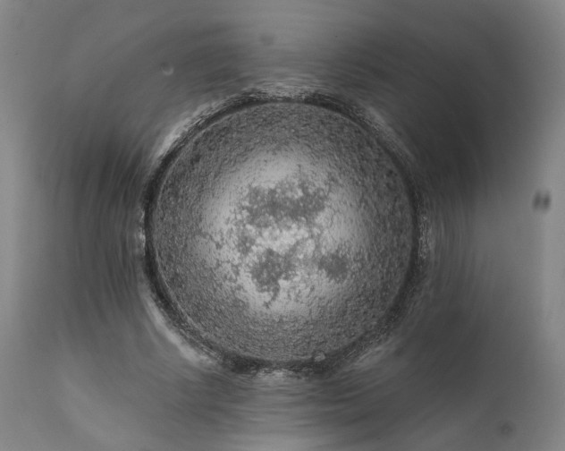 X0000111380634200907171223