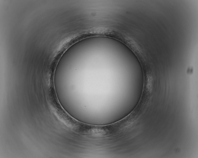 X0000111380636200907171223