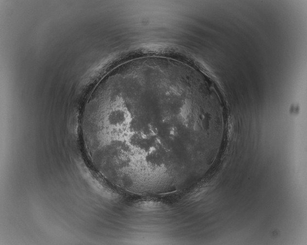 X0000111380637200907171223