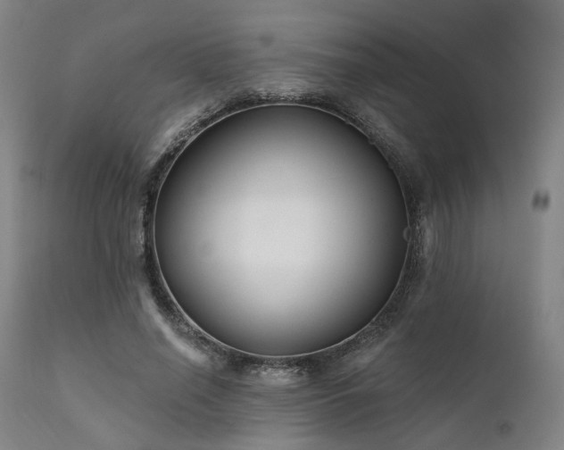 X0000111380638200907171223