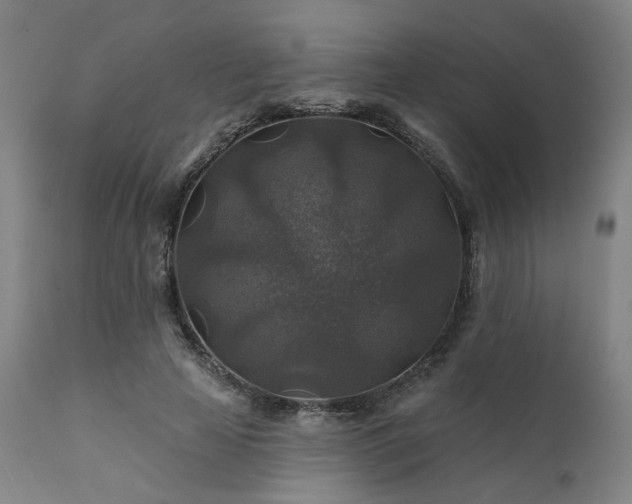 X0000111380641200907171223