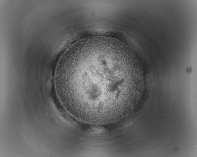 X0000111380642200907171223