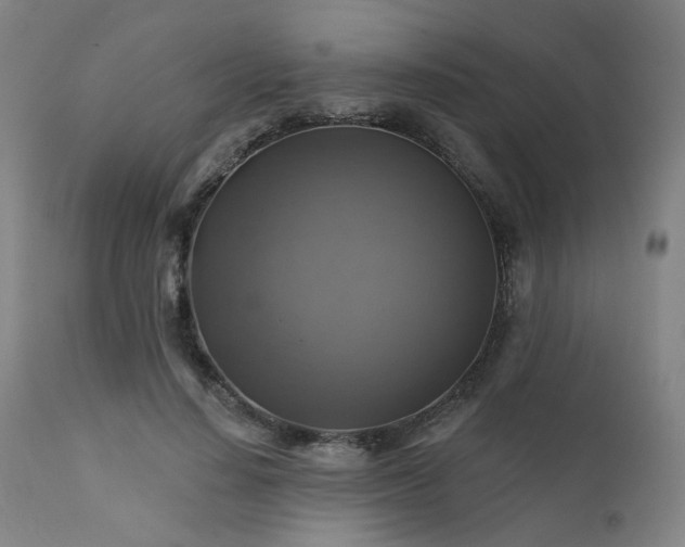 X0000111380644200907171223