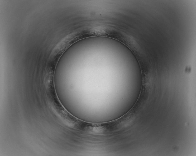 X0000111380645200907171223