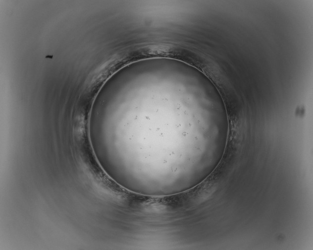 X0000111380648200907171223