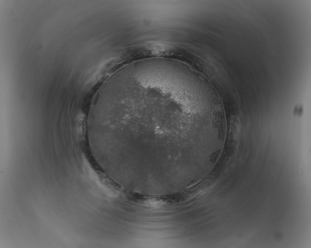 X0000111380650200907171223