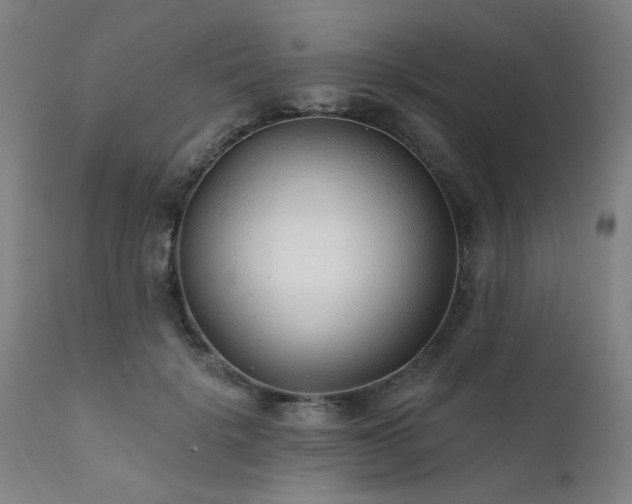 X0000111380652200907171224