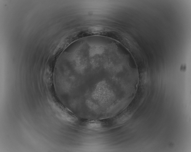 X0000111380653200907171224