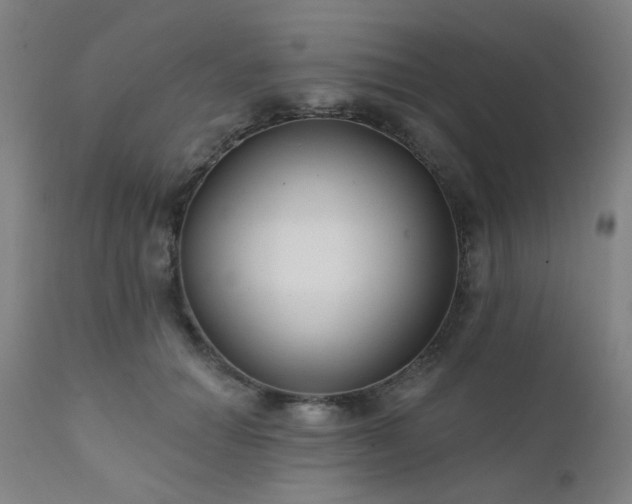 X0000111380654200907171224