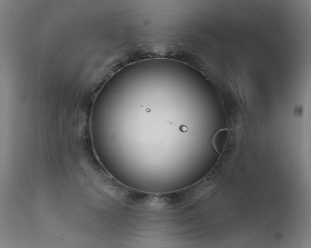 X0000111380656200907171224