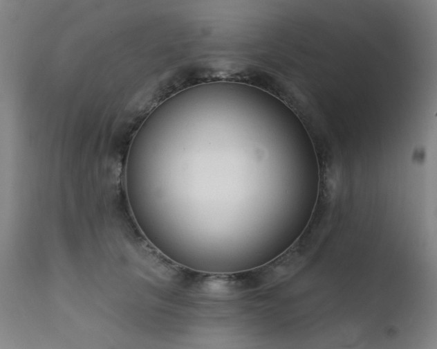 X0000111380657200907171224