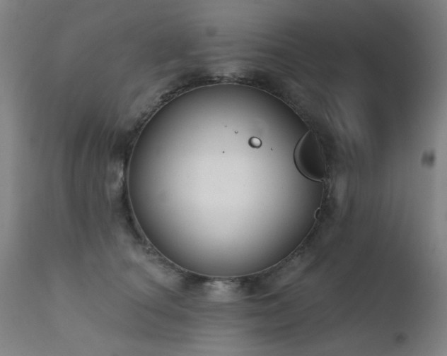 X0000111380660200907171224