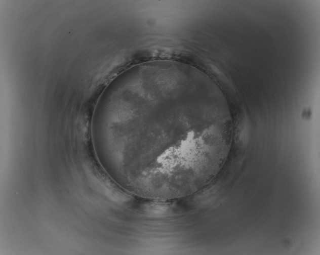 X0000111380661200907171224