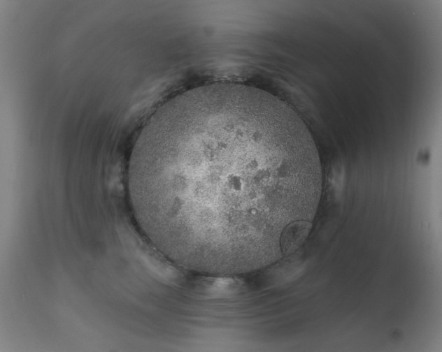 X0000111380663200907171224