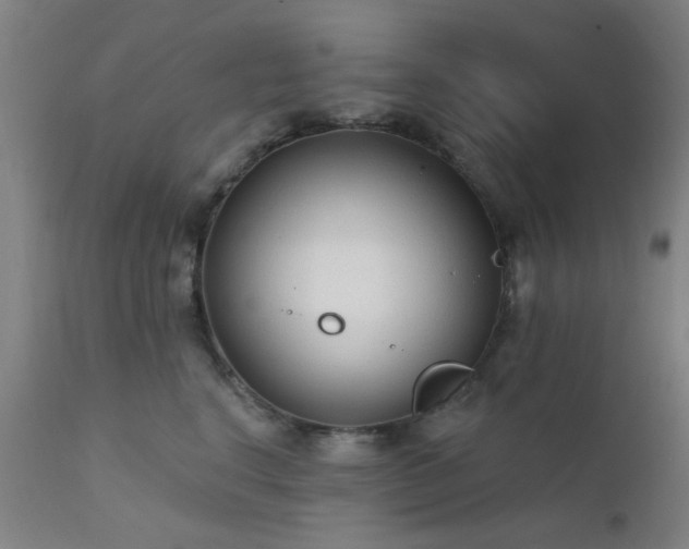 X0000111380664200907171224