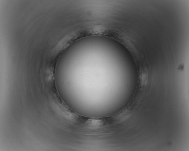 X0000111380665200907171224