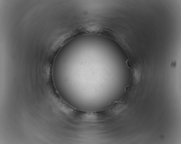 X0000111380668200907171224