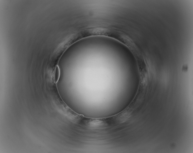 X0000111380669200907171224