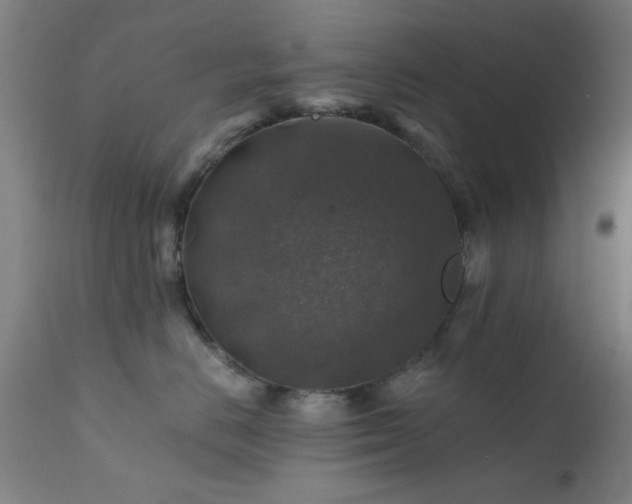 X0000111380670200907171224