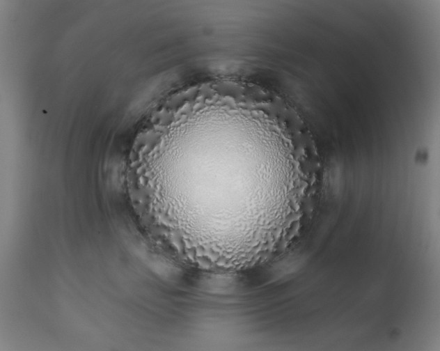 X0000111380671200907171224