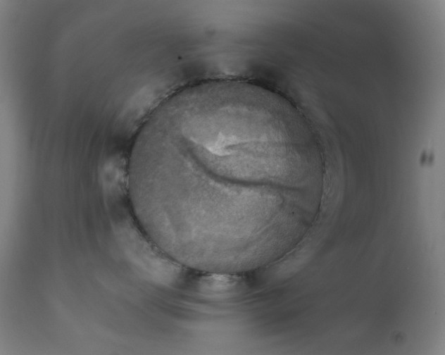 X0000111380672200907171224