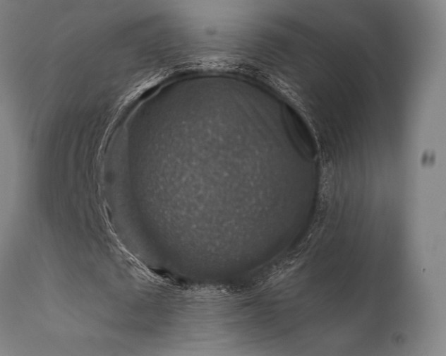 X0000111380673200907171223