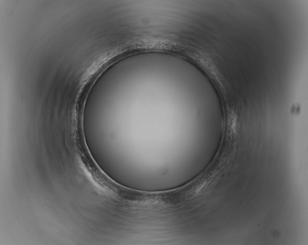 X0000111380674200907171223