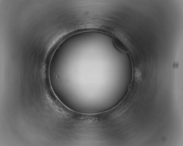 X0000111380676200907171223