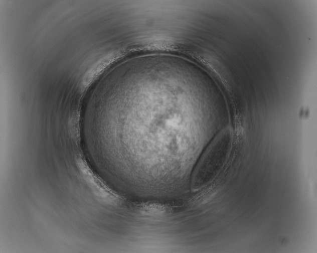 X0000111380677200907171223