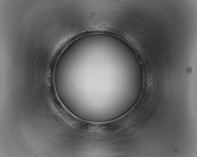 X0000111380680200907171223