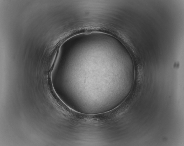 X0000111380681200907171223