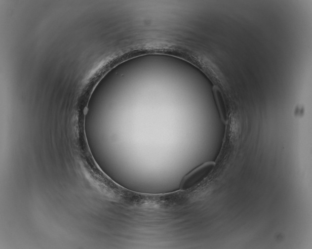 X0000111380684200907171223