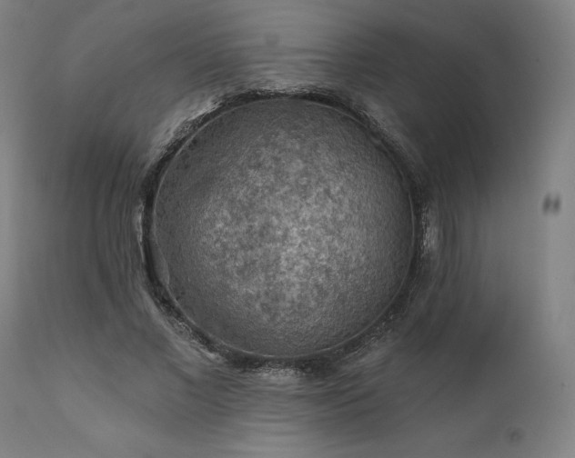 X0000111380685200907171223