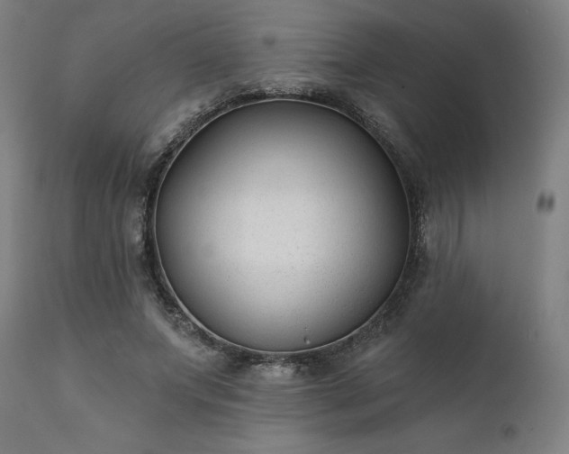 X0000111380687200907171223