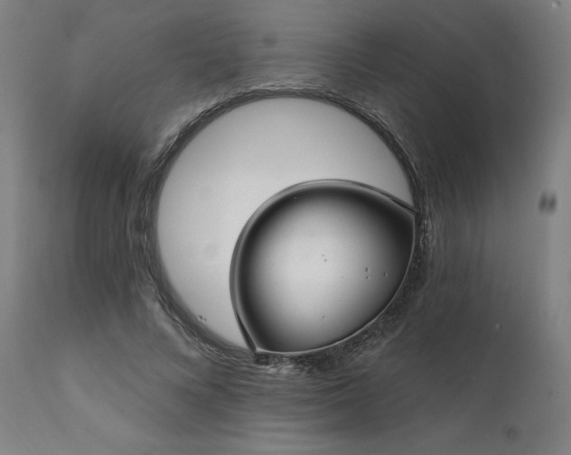 X0000111380688200907171223