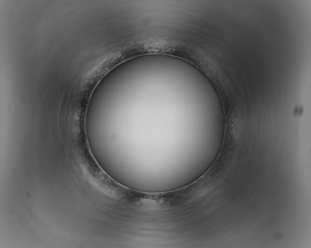 X0000111380690200907171223