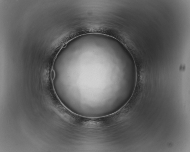 X0000111380691200907171223