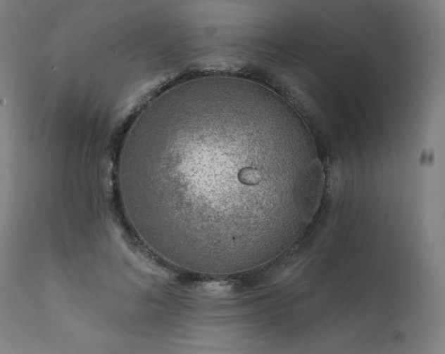 X0000111380692200907171223