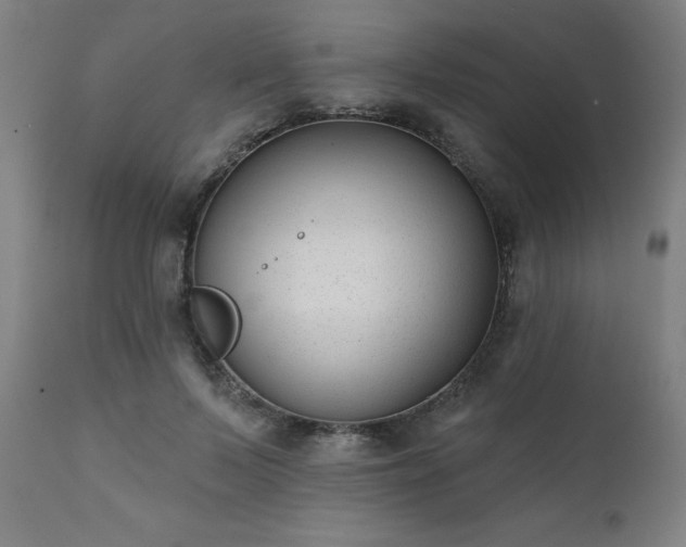 X0000111380695200907171223