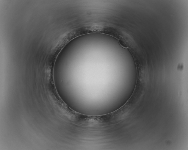 X0000111380697200907171223