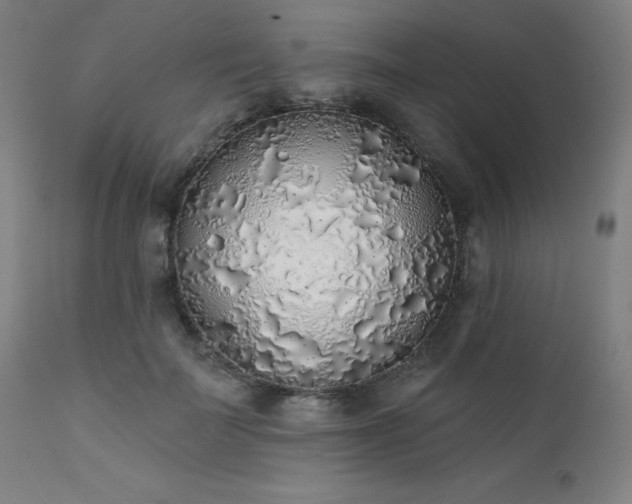 X0000111380699200907171223