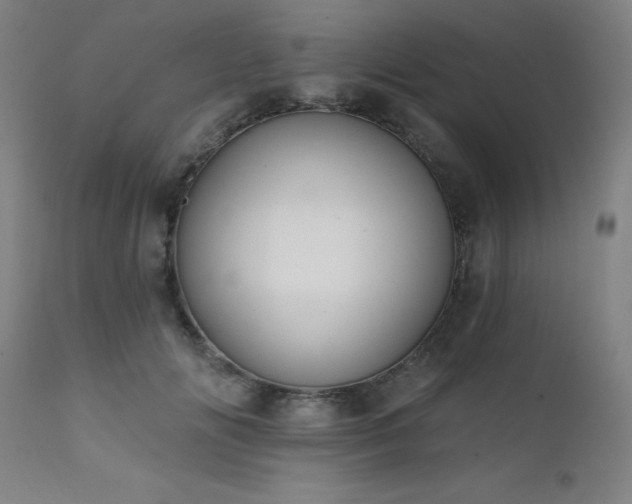 X0000111380702200907171223