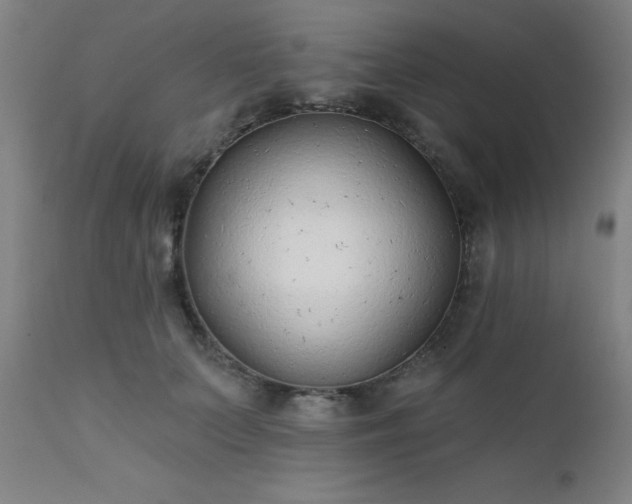 X0000111380703200907171223