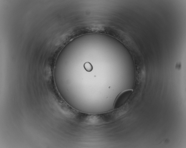 X0000111380704200907171223