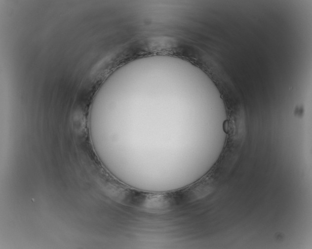 X0000111380705200907171223