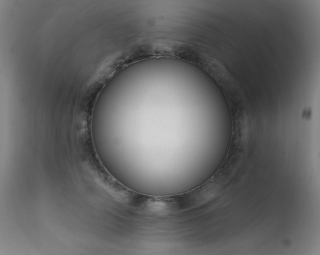 X0000111380706200907171223