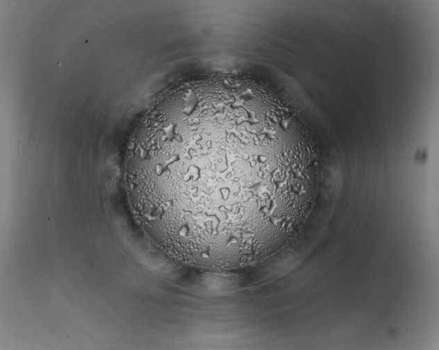 X0000111380707200907171223