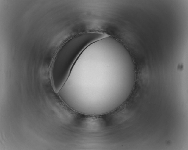 X0000111380708200907171222