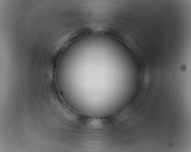 X0000111380710200907171222