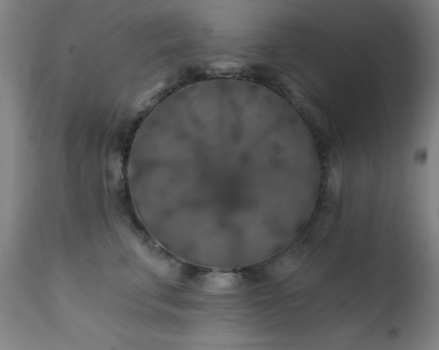 X0000111380711200907171222